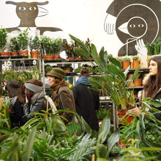 Photo de vente de plantes