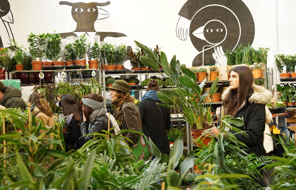 Photo de vente de plantes